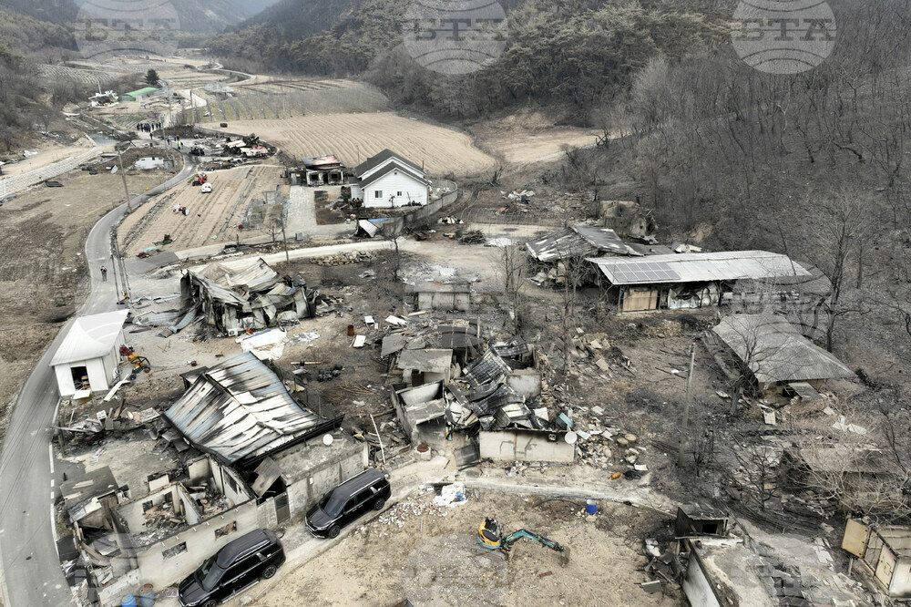 South Korea Wildfires