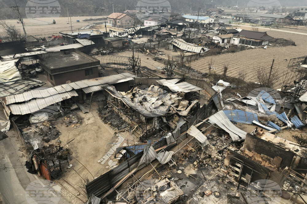 South Korea Wildfires