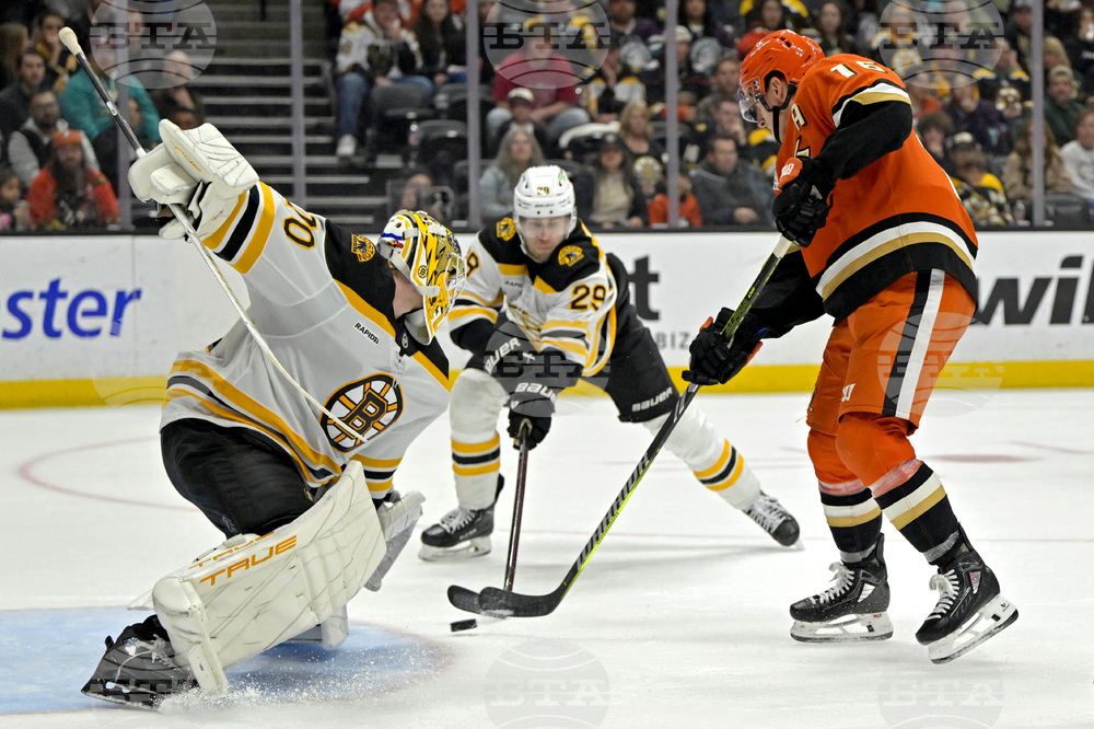 Bruins Ducks Hockey