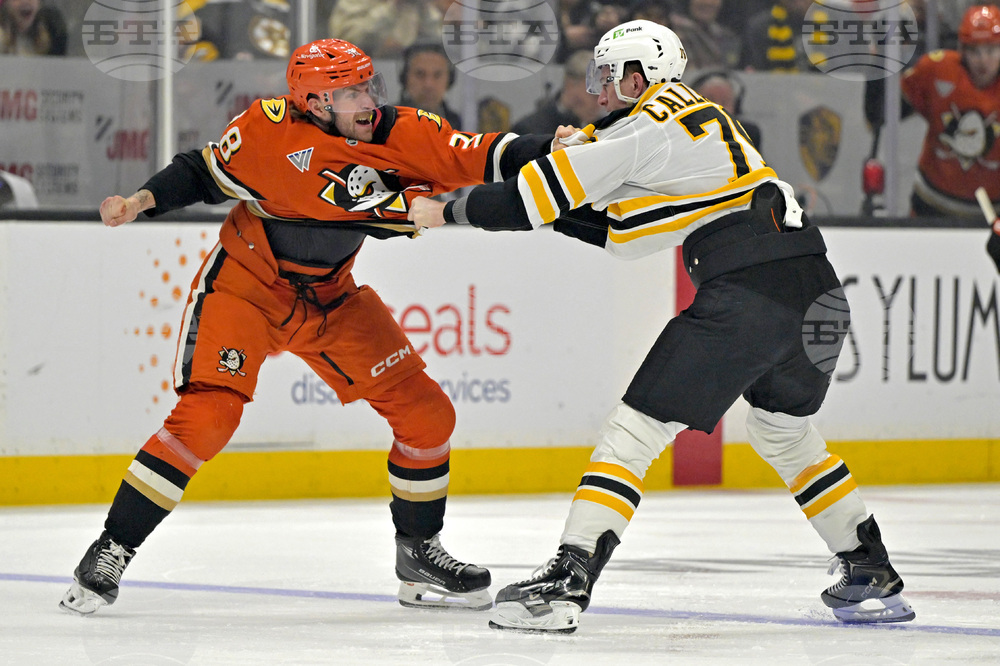 Bruins Ducks Hockey