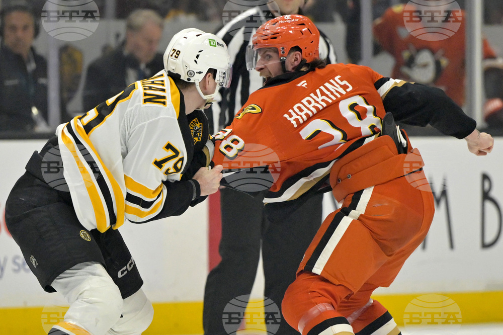 Bruins Ducks Hockey
