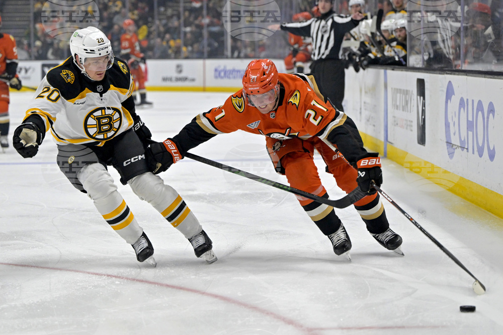 Bruins Ducks Hockey