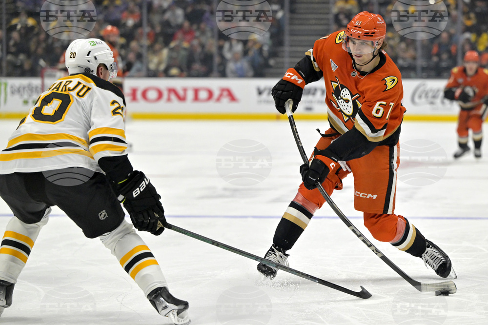 Bruins Ducks Hockey