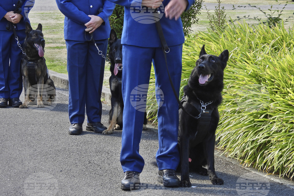 New Zealand Police Dogs