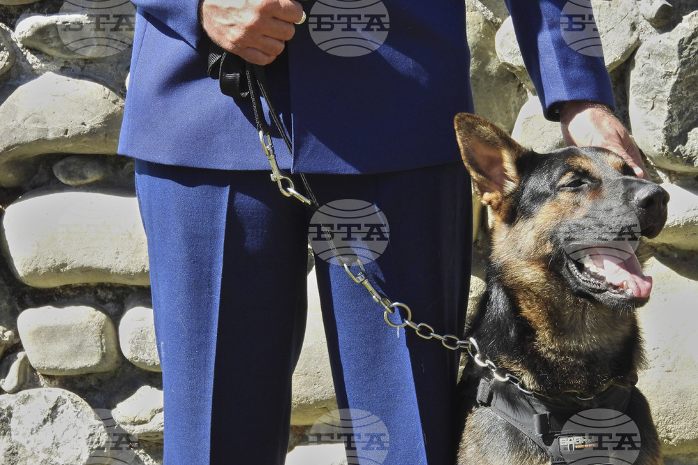 New Zealand Police Dogs