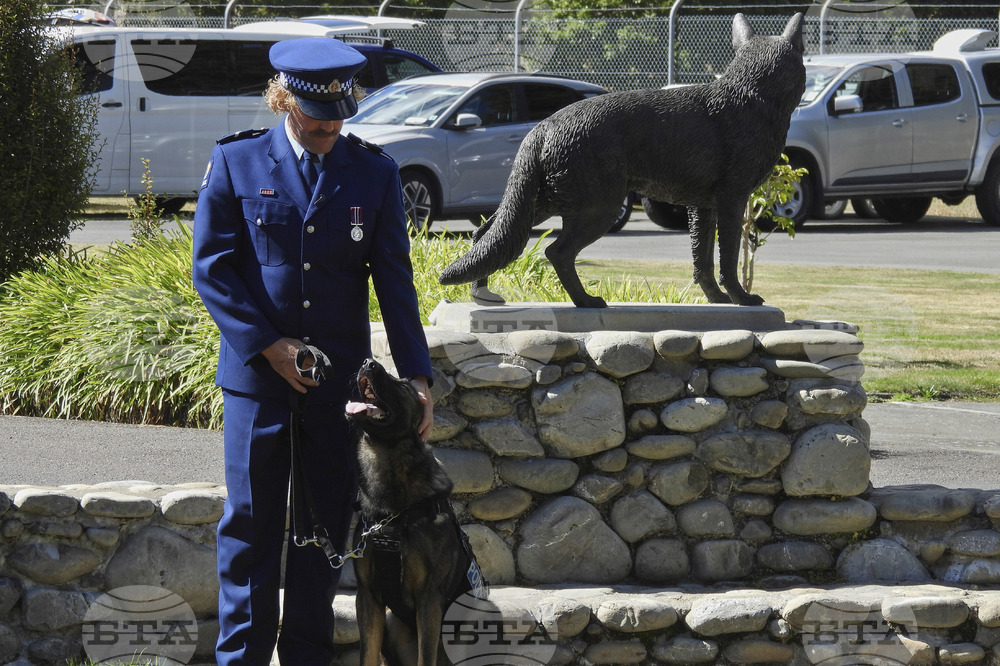 New Zealand Police Dogs