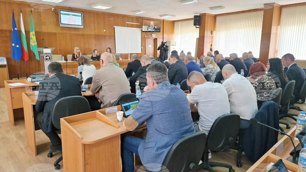 Общинският съвет в Шумен прие Програма за овладяване популацията на безстопанствените кучета