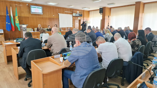 Общинският съвет в Шумен прие Програма за овладяване популацията на безстопанствените кучета