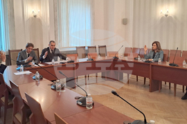 Парламент - постоянно действаща подкомисия