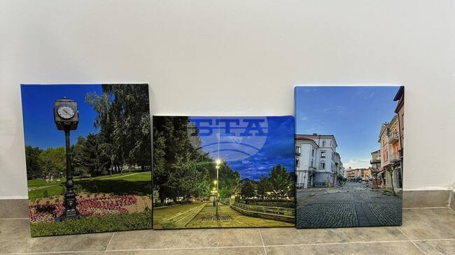 Младежкият център в Гоце Делчев обяви три картини за продажба на търг с благотворителна цел