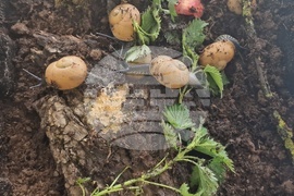 Троян - Село Черни Осъм - природонаучен музей - изложба - охлюви - насекоми