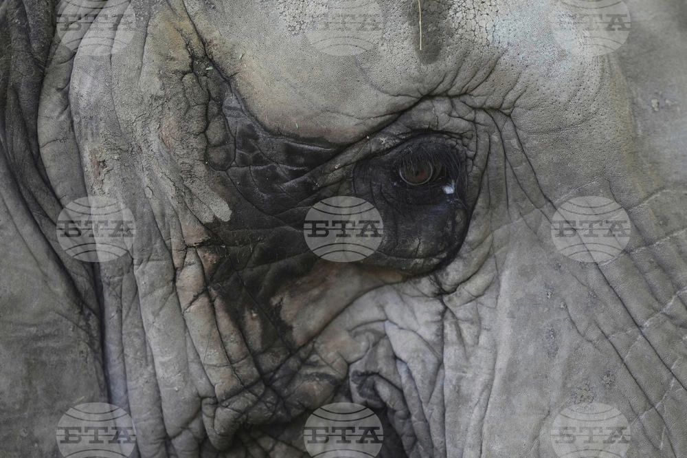 Pictures of the Week Global Photo Gallery