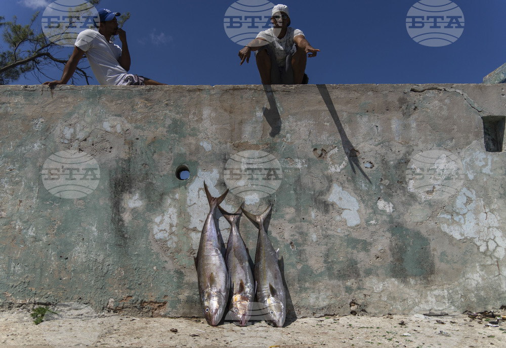 Pictures of the Week Global Photo Gallery