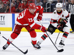 Senators Red Wings Hockey
