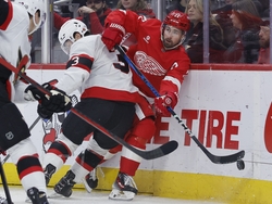 Senators Red Wings Hockey