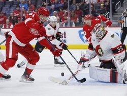 Senators Red Wings Hockey