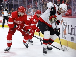 Senators Red Wings Hockey