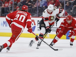Senators Red Wings Hockey