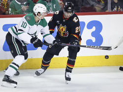 Stars Flames Hockey