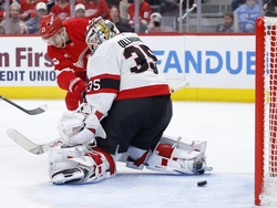 Senators Red Wings Hockey