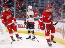 Senators Red Wings Hockey