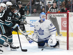 Maple Leafs Sharks Hockey