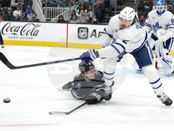 Maple Leafs Sharks Hockey