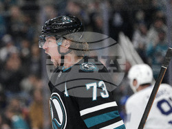 Maple Leafs Sharks Hockey