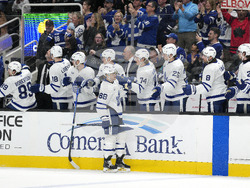 Maple Leafs Sharks Hockey