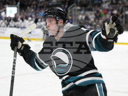 Maple Leafs Sharks Hockey