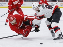 Senators Red Wings Hockey