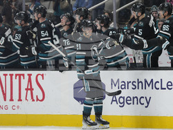 Maple Leafs Sharks Hockey