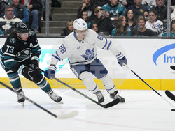 Maple Leafs Sharks Hockey