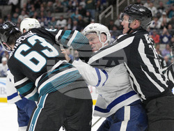 Maple Leafs Sharks Hockey