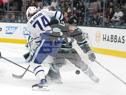 Maple Leafs Sharks Hockey