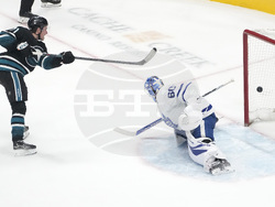 Maple Leafs Sharks Hockey