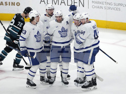 Maple Leafs Sharks Hockey