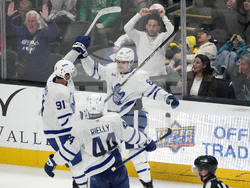 Maple Leafs Sharks Hockey