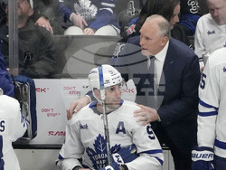 Maple Leafs Sharks Hockey