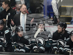 Maple Leafs Sharks Hockey