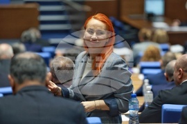 Народно събрание - заседание