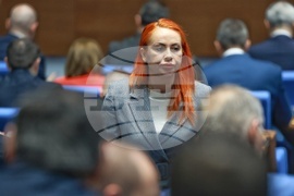 Народно събрание - заседание