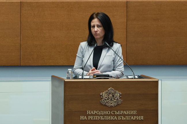 „Възраждане“ внасят промени в НК за случаите на насилие над деца и животни, съобщи депутатът Цвета Рангелова