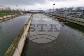 Монтана - деца - пречиствателна станция