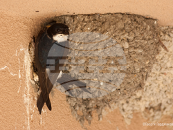 Снимка: Община Сливен