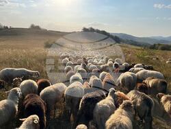 Снимка: Министерство на земеделието и храните