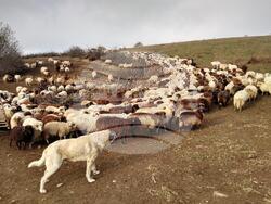 Снимка: Министерство на земеделието и храните