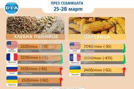 Цени на основни зърнени стоки по световните борси и на ССБ през седмицата 25-28 март