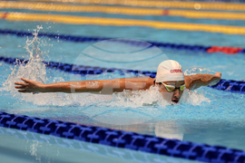 Пловдив - Държавното отборно първенство по плуване
