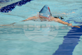 Пловдив - Държавното отборно първенство по плуване